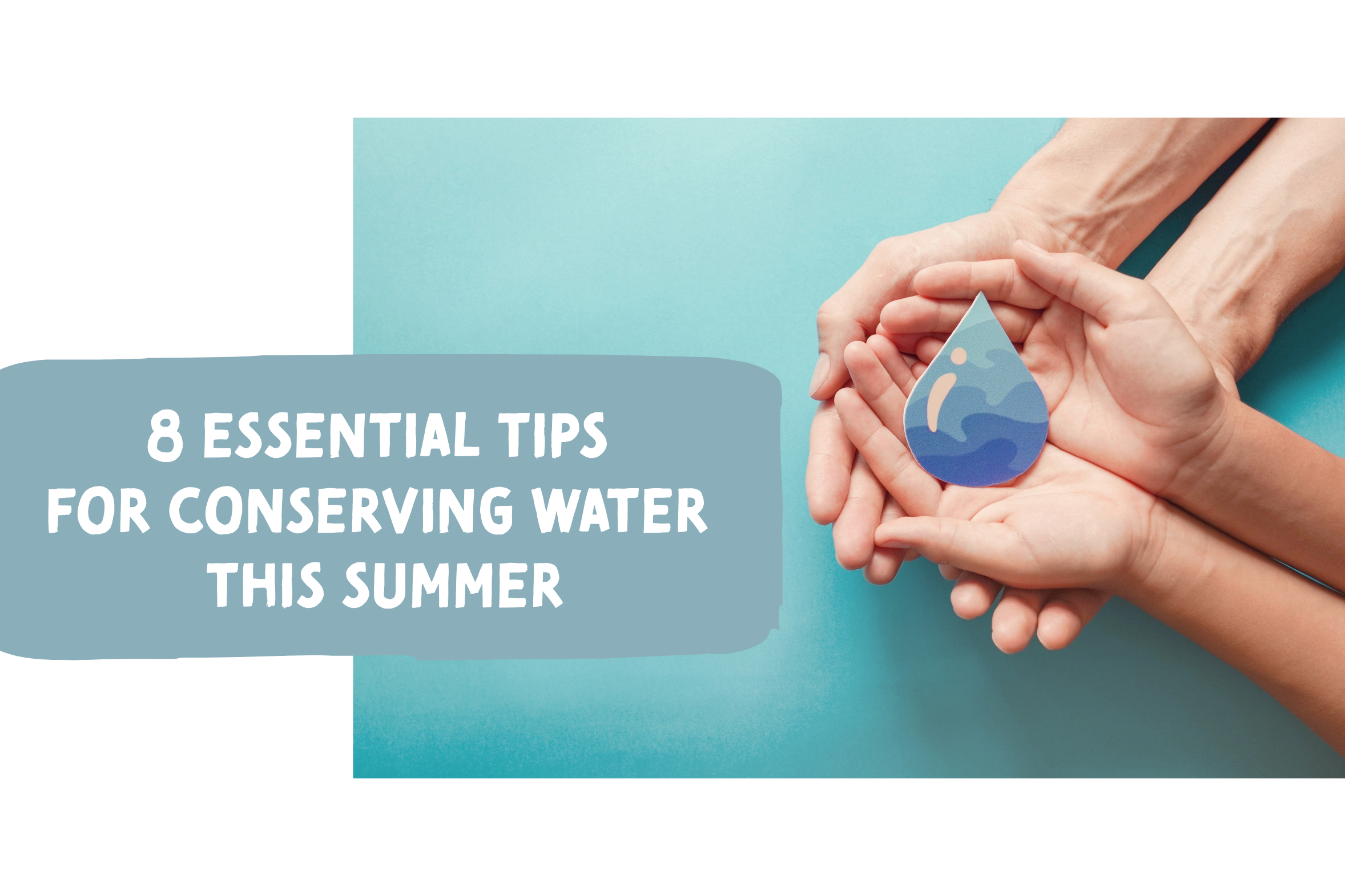 Blog about conserving water in the summer.